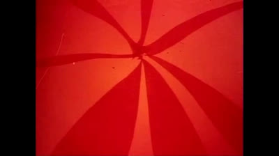 Le avventure dell Ape Magà - 41 - Dodici piccoli animali - Jap