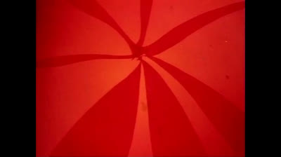 Le avventure dell Ape Magà - 40 - L illusione di Magà