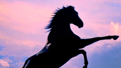 O Corcel Negro 1979 Dublado