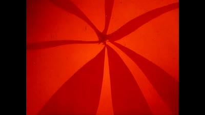 Le avventure dell Ape Magà - 43 - Il dilemma della mamma