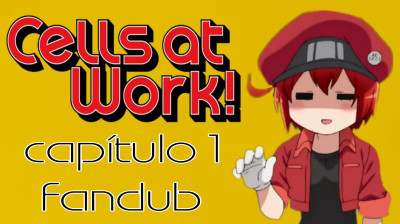 Cells at Work - episodio 01 (Fandub Español Latino)