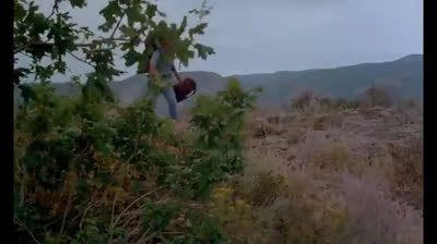 Don´t go in the Woods Alone 1981