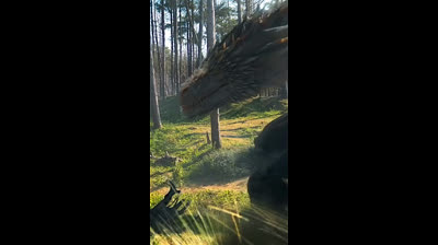 O escolhido de Sesmonke