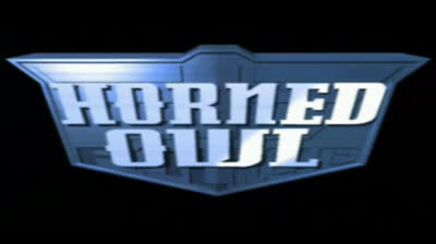 Project - Horned Owl (USA) PSX