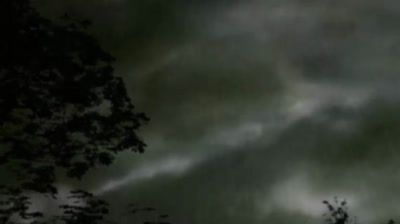 Tomb Raider Chronicles (USA) PSX