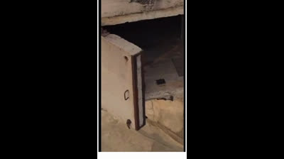 Découverte étrange