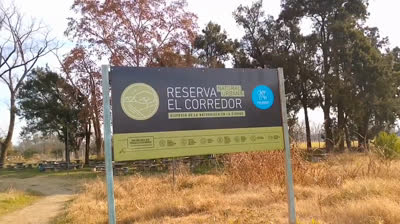 PENSE QUE MI DESTINO ERA LA SOLEDAD (CUMBIA)