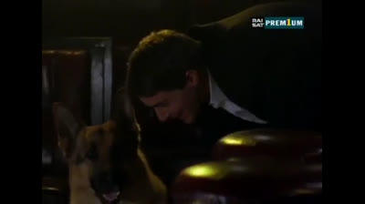 Il commissario Rex 07x01